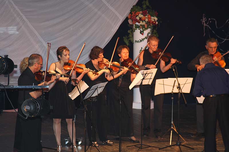 Камерный оркестр «Струны Галилеи» под управлением Леонида Фитерштейна.